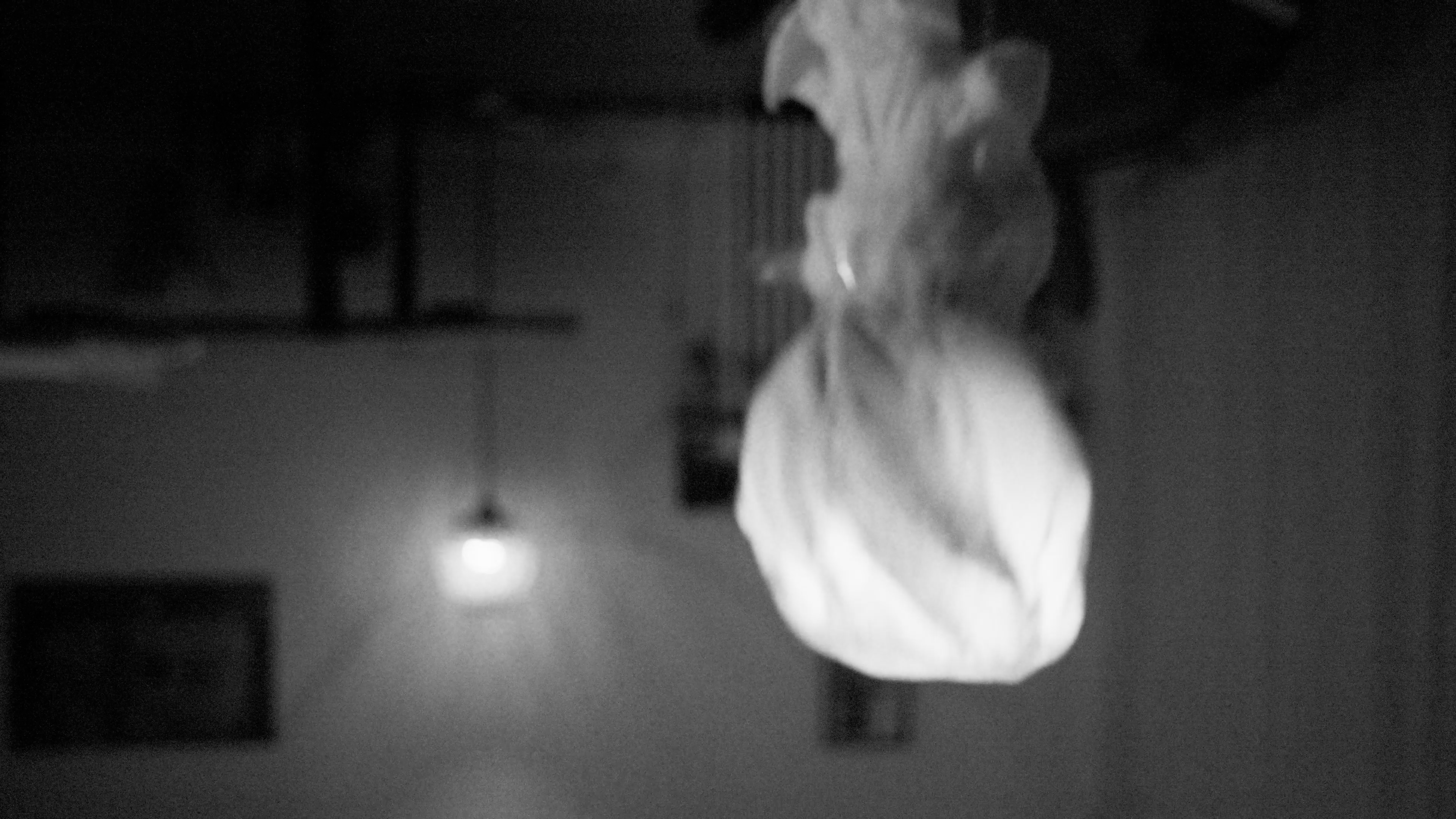 Image Lumière Noire